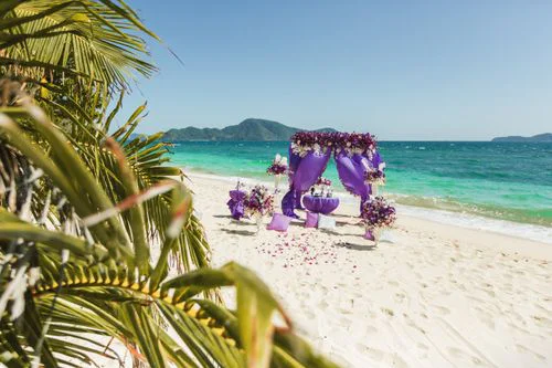 Purple geometric bamboo wedding arch, Margarita and Oleg, Phuket — photo 6
